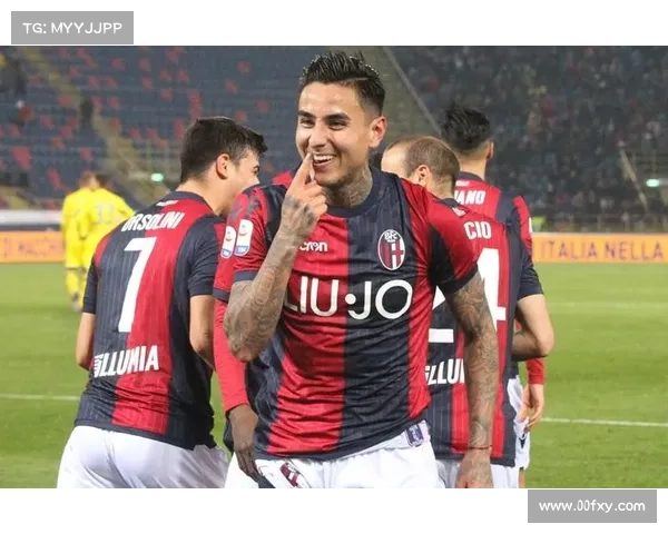 2015拳击巅峰决战荣耀加冕激情对决难忘瞬间经典回顾