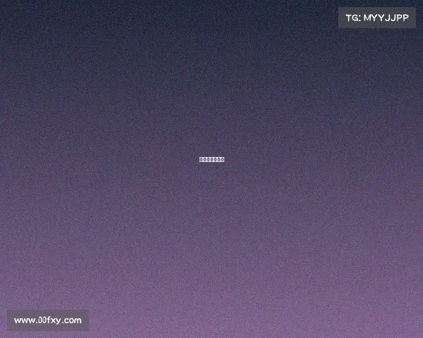 火箭赛程一览表